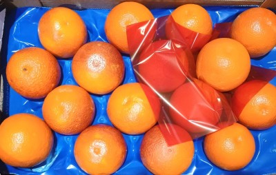 Foto Arance Tarocco Varietà Ippolito Calibro 4 Origine Italia Marchio Frutteti Siciliani  2